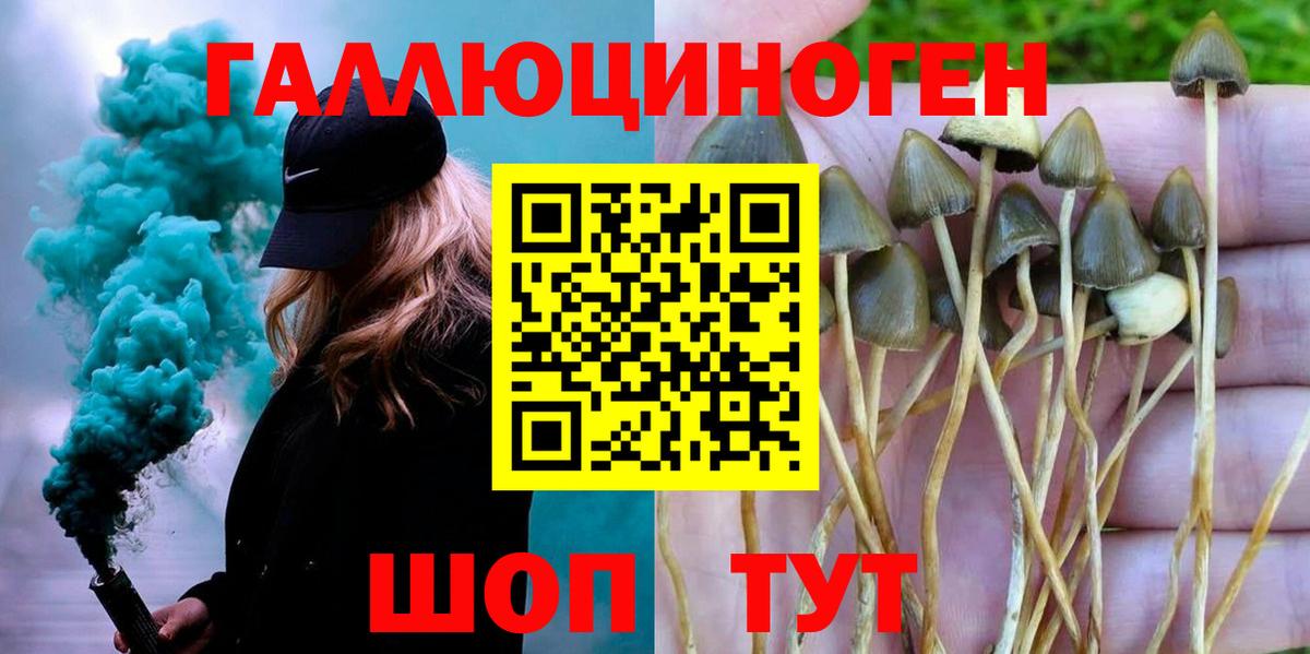 Галлюциногенные грибы GOLDEN TEACHER  Вход с VPN  Сегежа 
